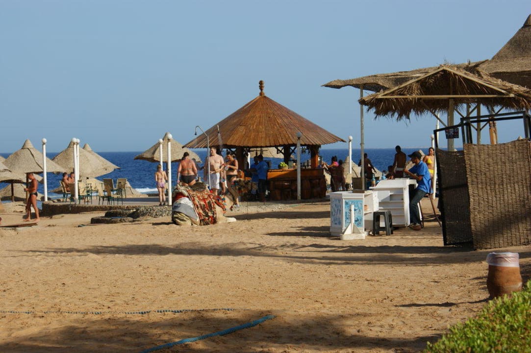 Bar przy plaży Serenity Alpha Beach