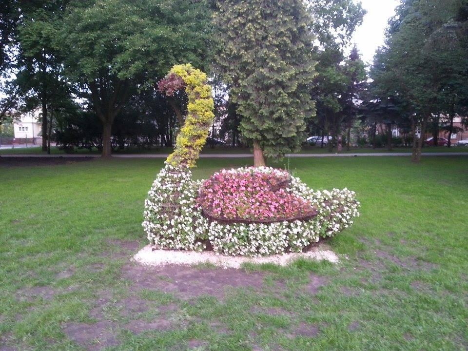 Park za miedzą Villa Park Med. & SPA