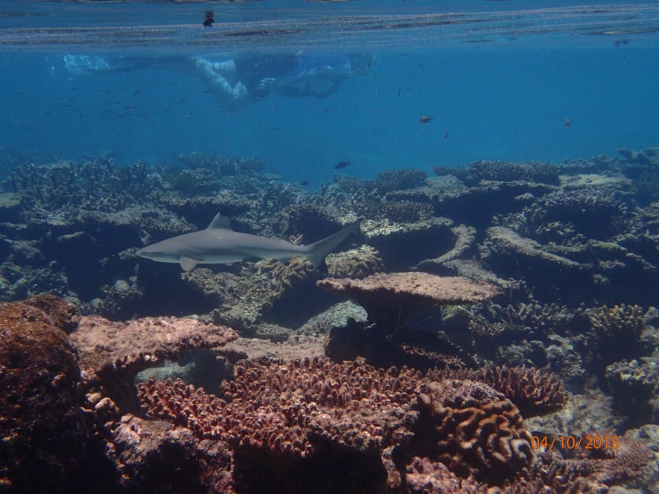 Ausblick ROBINSON MALDIVES