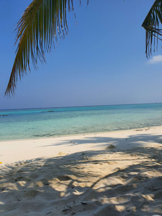 Strand Summer Island Maldives