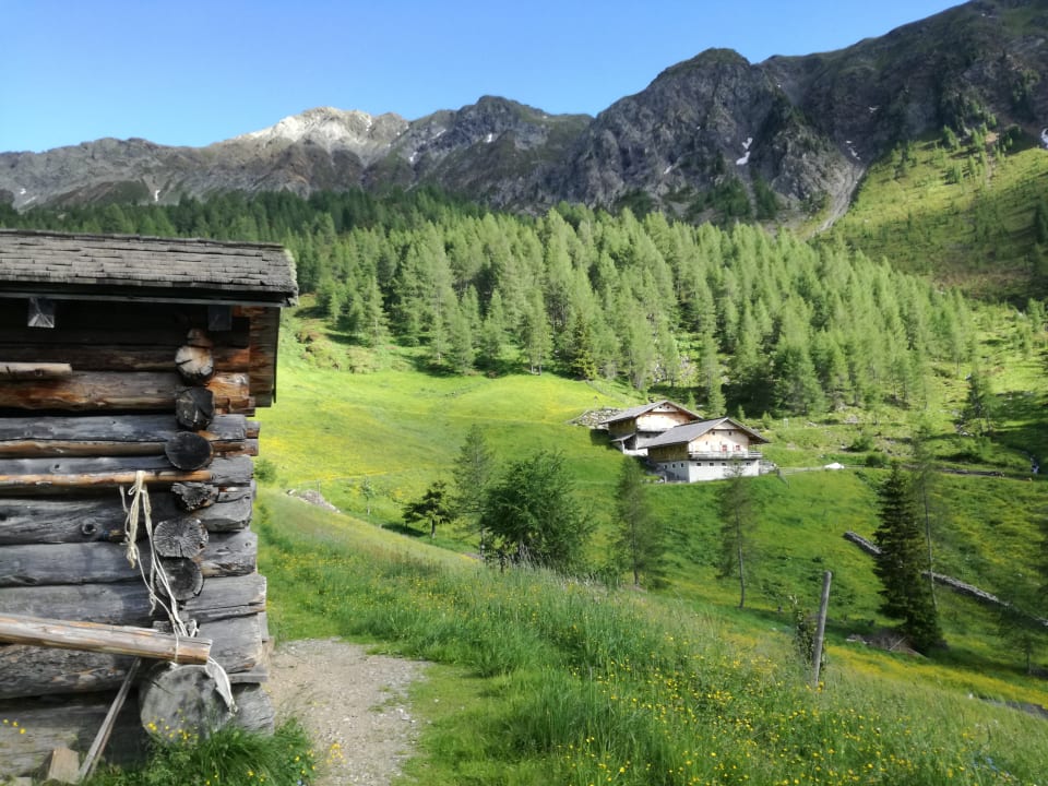 Sonstiges Feldererhof - Urlaub am Bauernhof