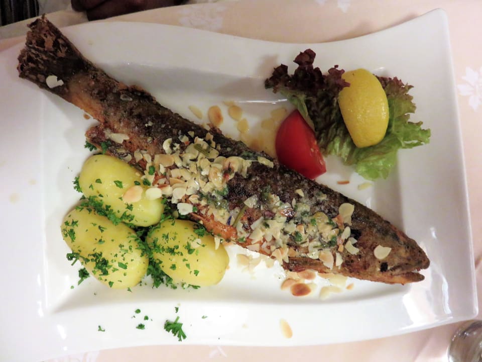 Saibling Hotel Stadler am Attersee