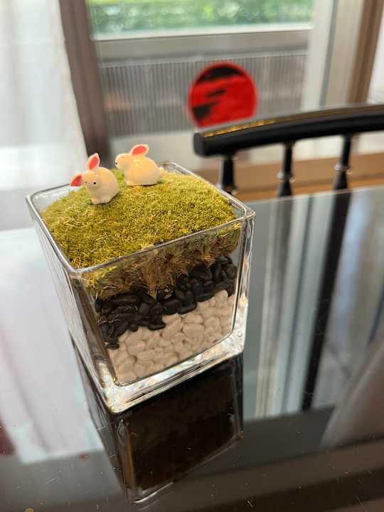 Sonstiges Hotel Mira Moon