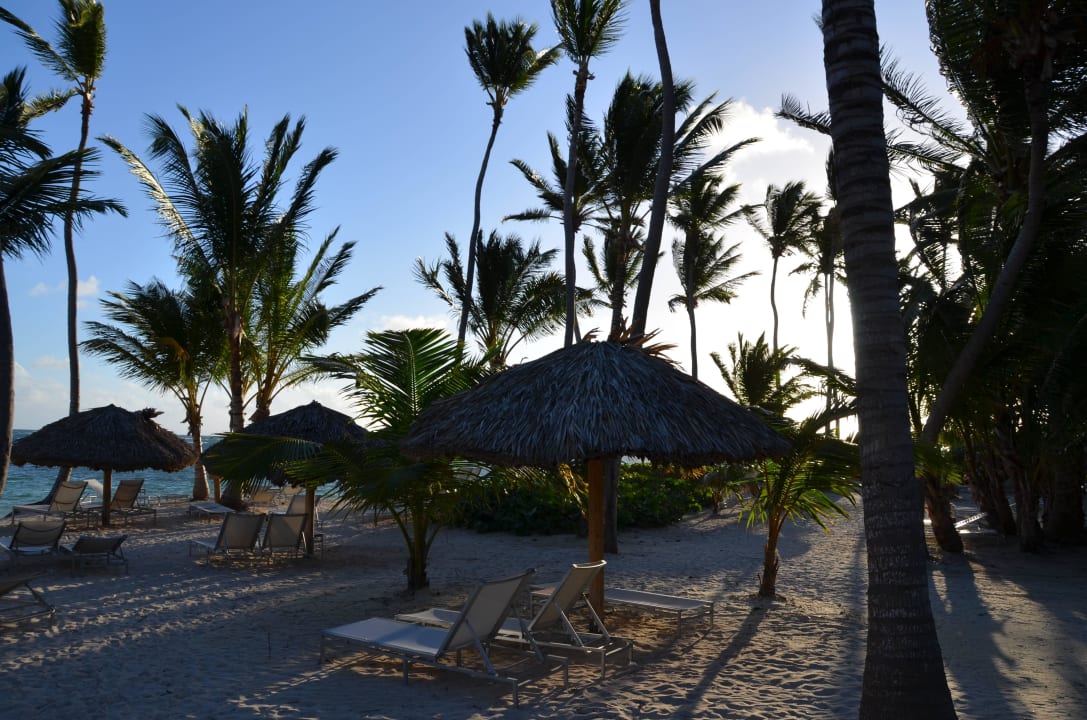 Beach 2te Reihe Catalonia Royal Bavaro - Adults only