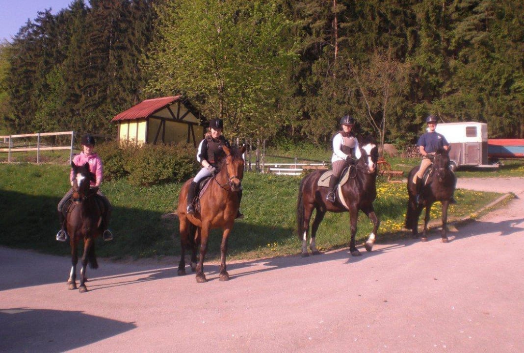 Ausritt mit Frau Pfeiffer Ferienhof Pfeiffer