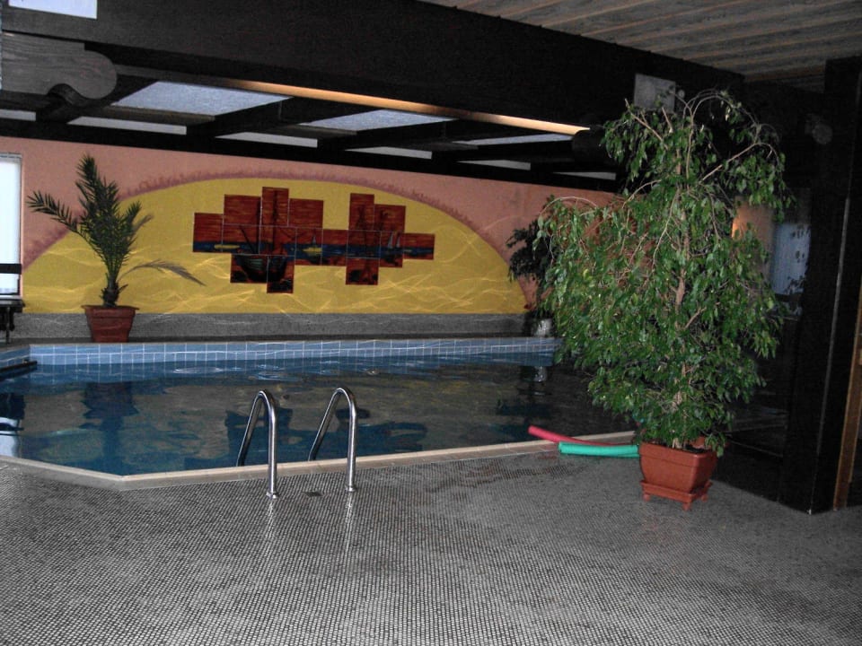 Hallenbad Panoramahotel Berghof