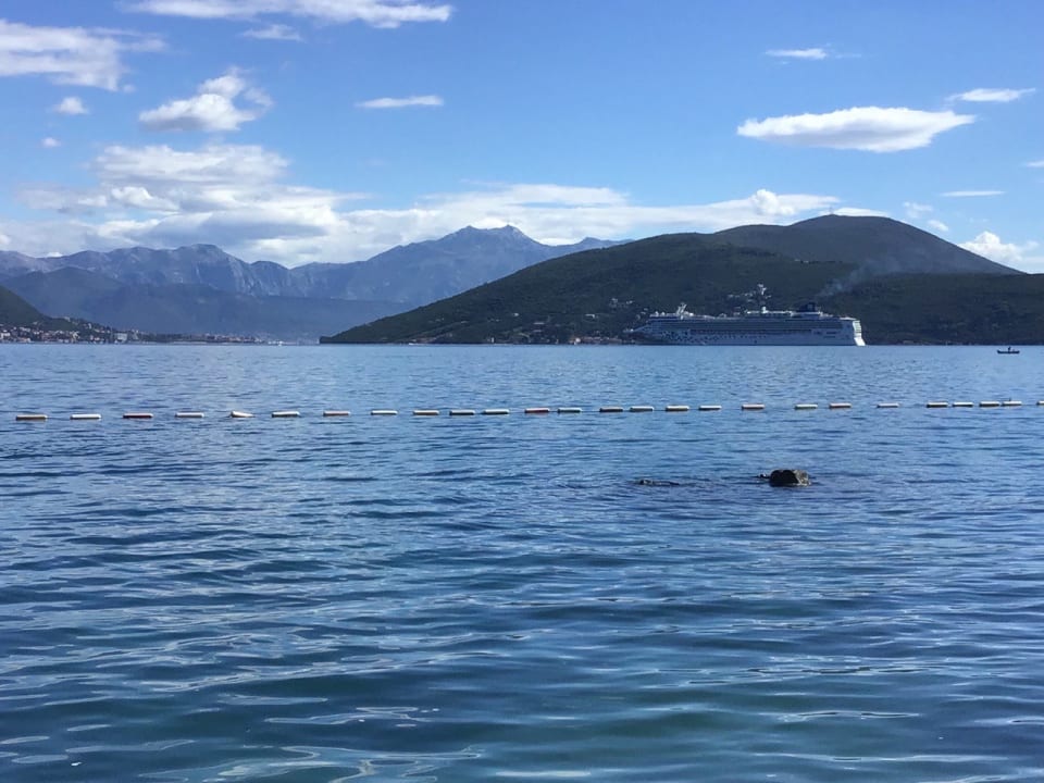 Ausblick Iberostar Waves Herceg Novi