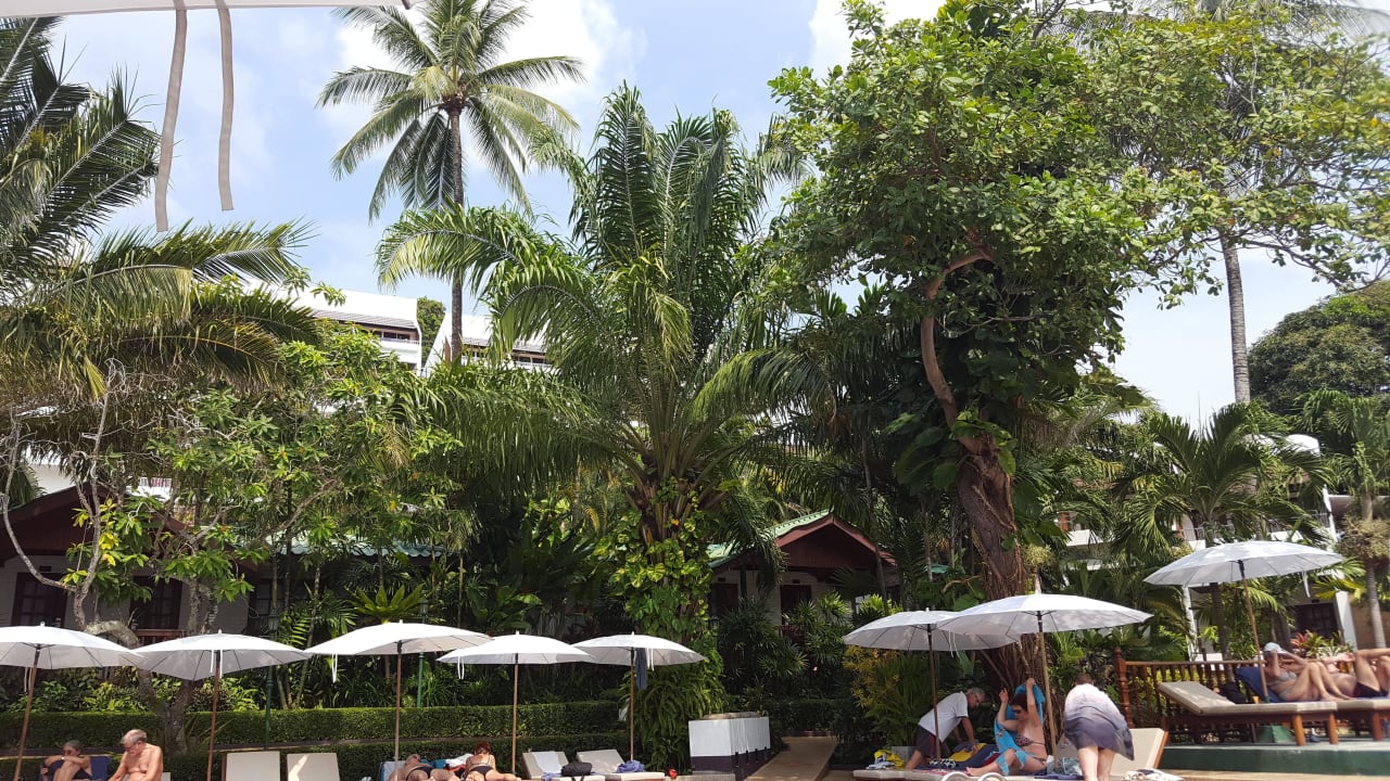 Terrasse Pool Best Western Phuket Ocean Resort