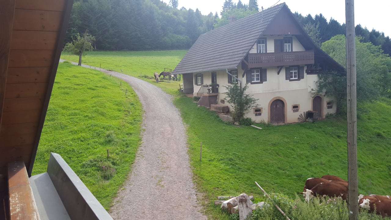 Ausblick Erlebnisbauernhof Kopf