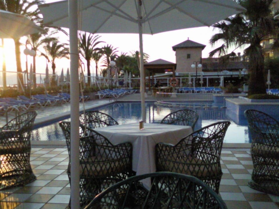 Einfach genial! Myseahouse Flamingo - Adults only