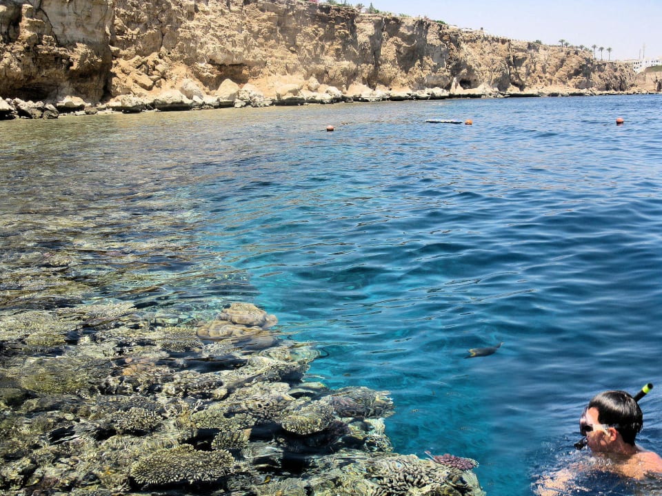 Raaaaaaaaaafa Dreams Beach Resort