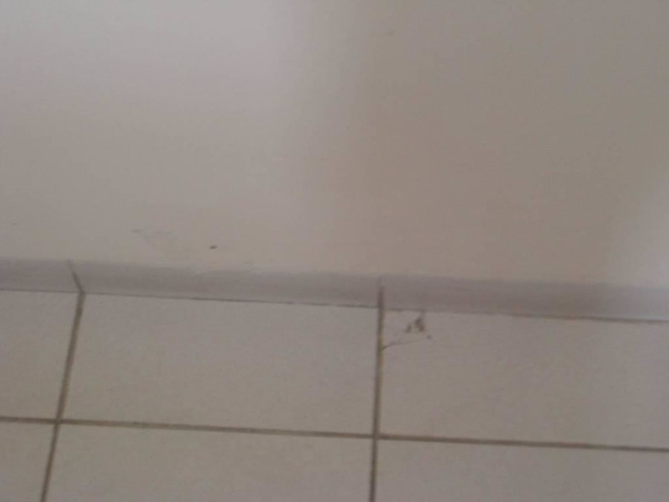 Dreckiger Boden Asteria Family Resort Side