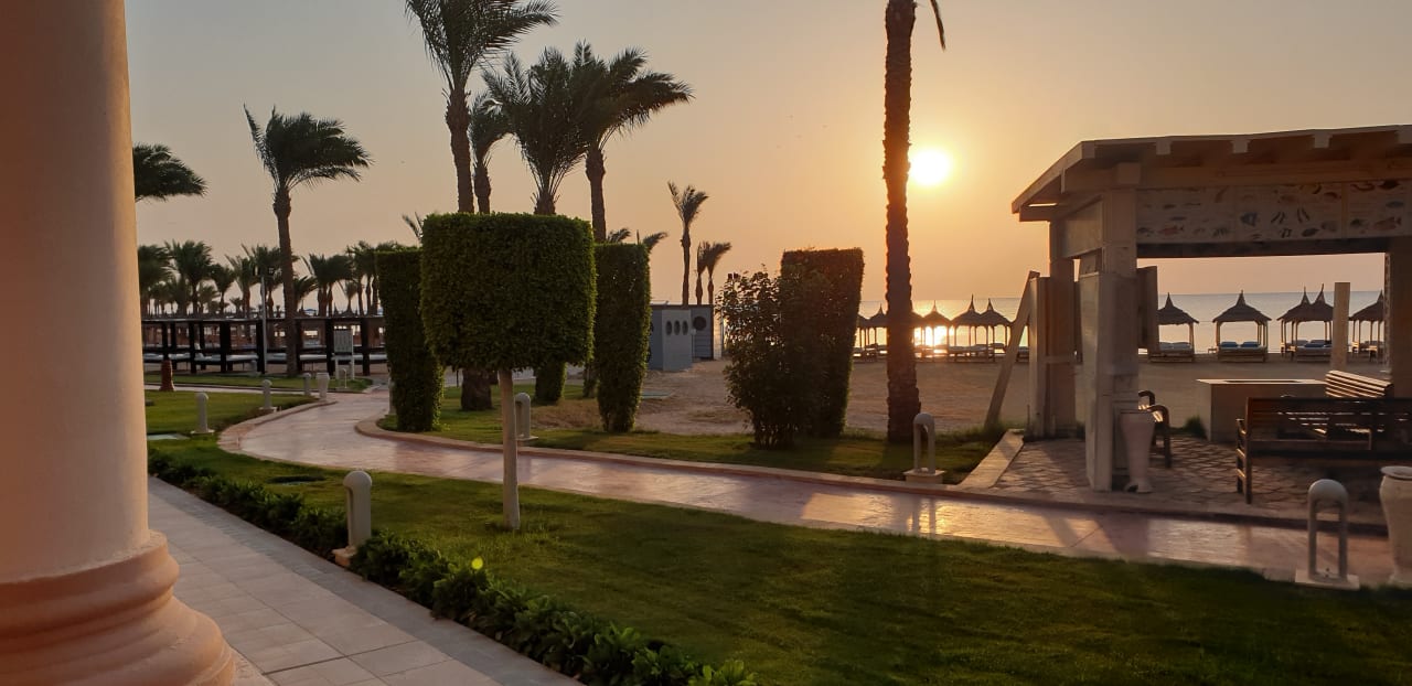 Zimmer Pickalbatros Palace Resort