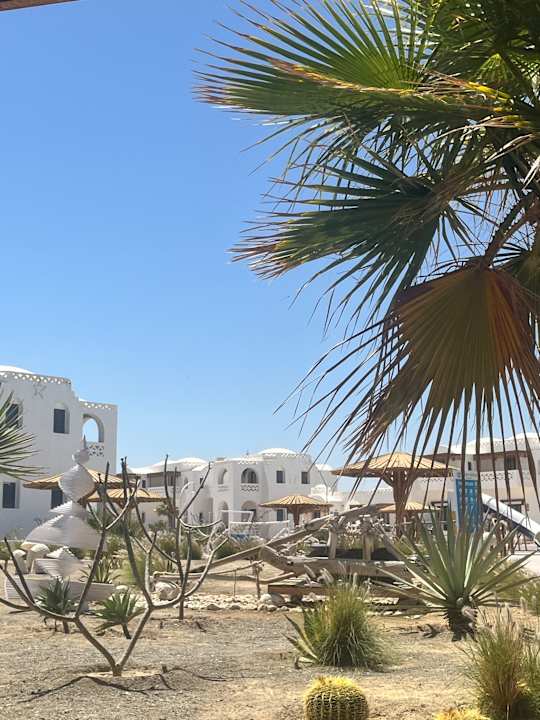 Außenansicht Beach Safari Nubian Resort