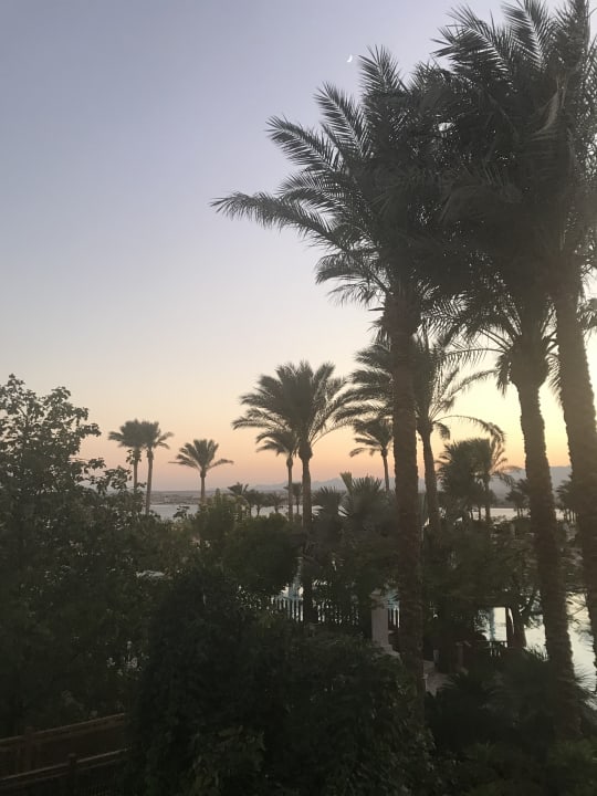 Ausblick Grand Waterworld Makadi & Family Star Makadi