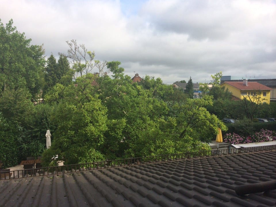 In die Baeume Hotel Antoniushof