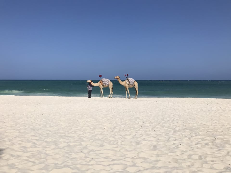 Strand Hotel Southern Palms Beach Resort