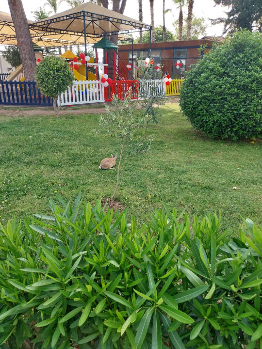 Sport & Freizeit Labranda Alantur Resort