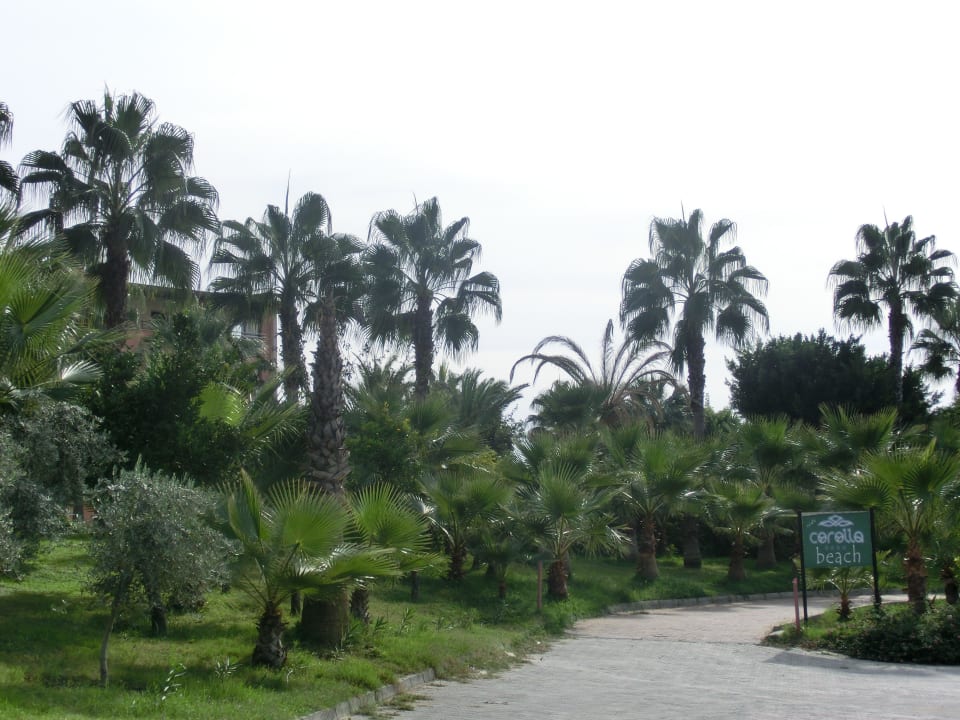 Zum Strand Seaden Corolla Hotel