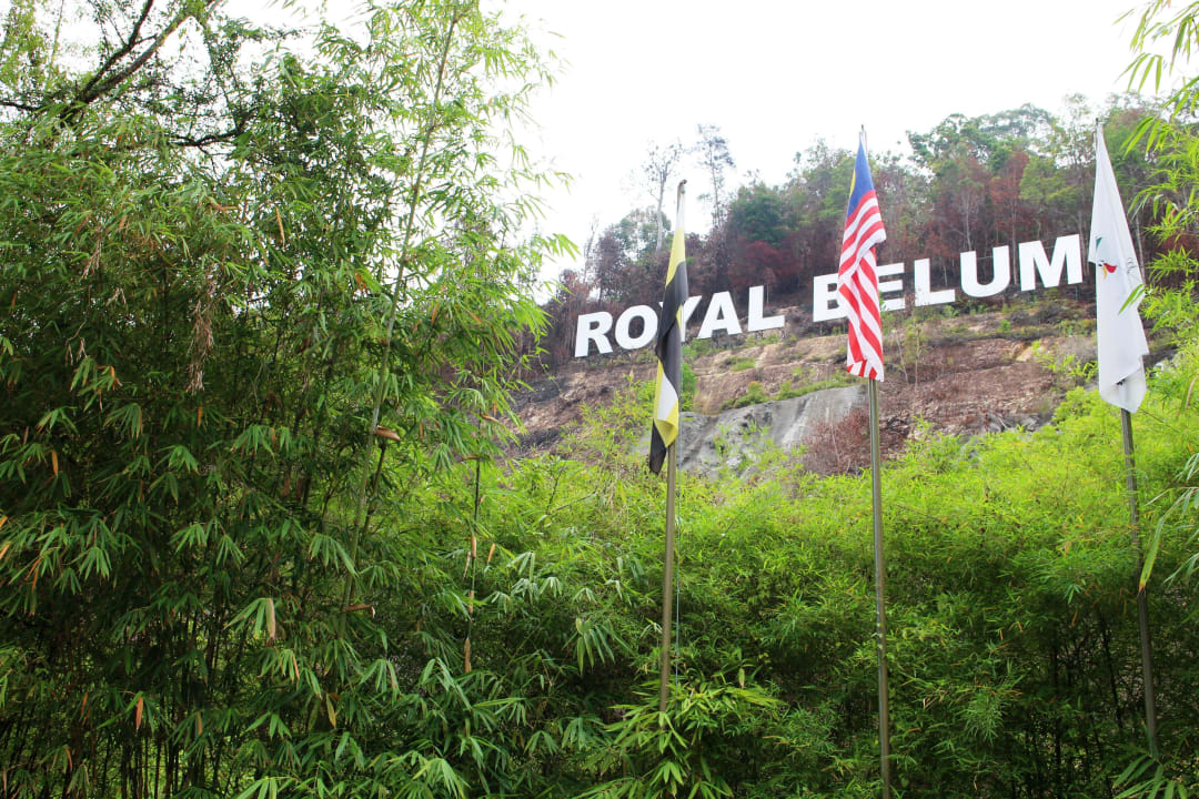 Das Wahrzeichen des Hotels Hotel Belum Rainforest Resort