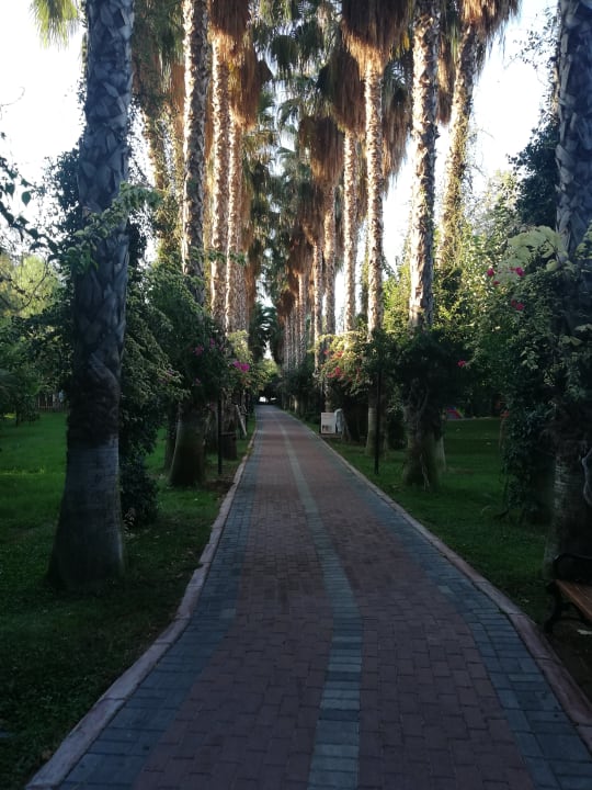 Gartenanlage Hotel Gardenia Beach