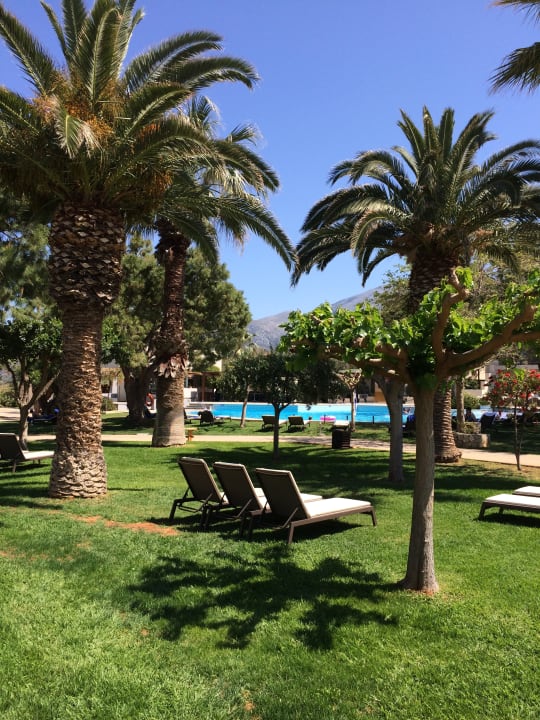 Pool Phãea Cretan Malia