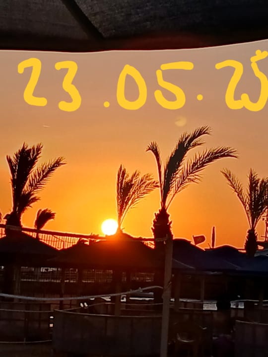 Ausblick Beach Albatros Resort