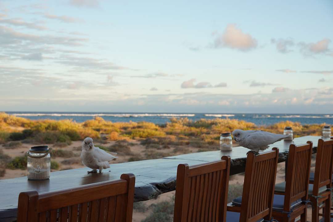Gartenanlage Luxury Camp Sal Salis Ningaloo Reef