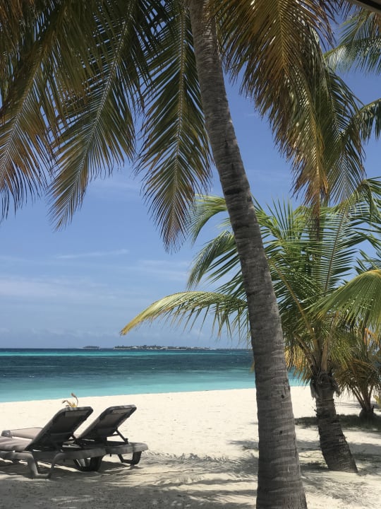 Ausblick Kuredu Island Resort & Spa