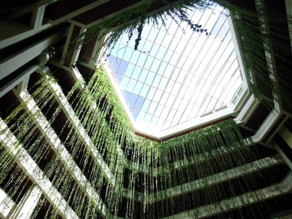 Glaskuppel mit rankenden Pflanzen Blau varadero - Adults only