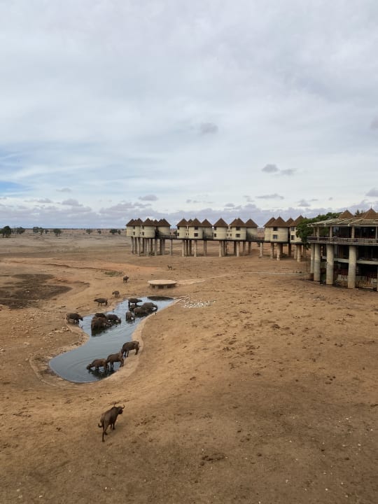 Außenansicht Taita Hills Safari Resort & Spa
