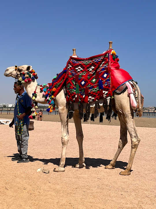 Strand Stella Beach Resort & Spa Makadi Bay