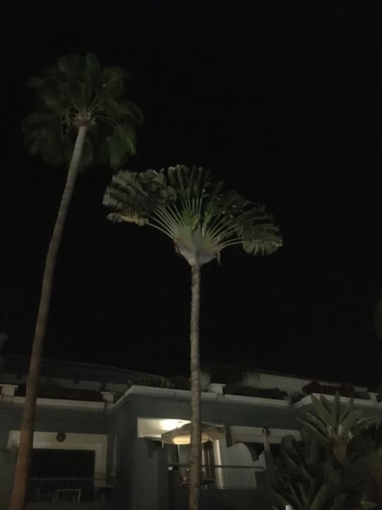 Gartenanlage Adrián Hoteles Colón Guanahaní - Adults only