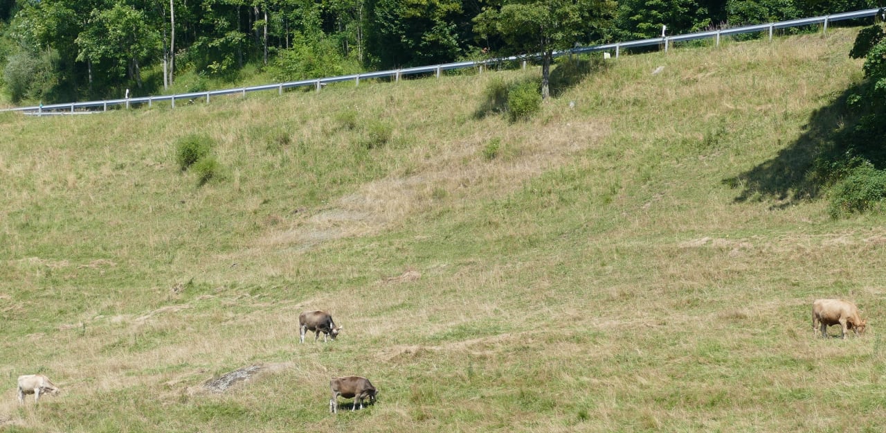 Ausblick Bergkristall - Mein Resort im Allgäu
