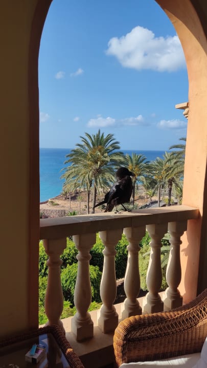 Ausblick R2 Rio Calma Hotel & Spa & Conference