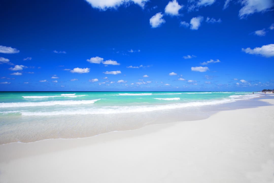 Strand Starfish Cuatro Palmas