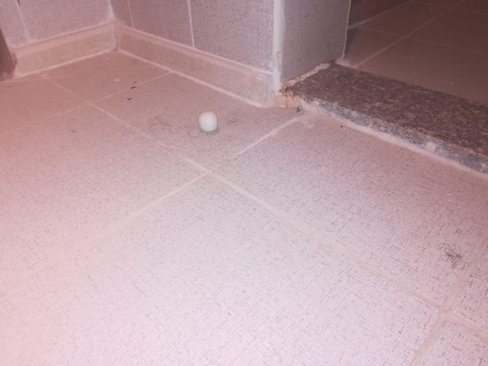 Zimmer Riviera Aqua Park Resort