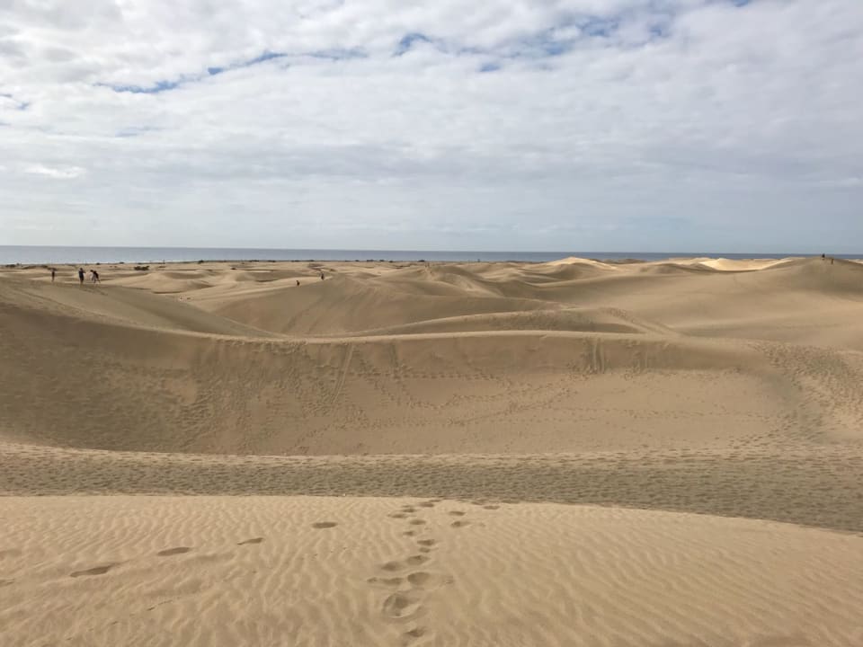 Ausblick Sahara Beach Club