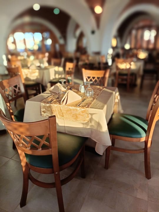 Gastro Beach Safari Nubian Resort