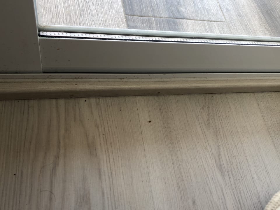 Zimmer Alcudia Garden Aparthotel