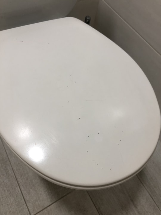 Zimmer Alcudia Garden Aparthotel