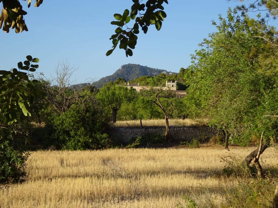 Außenansicht Hotel Son Boronat