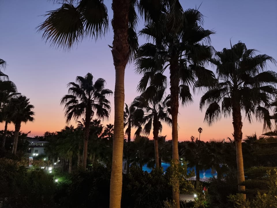 Ausblick Seaden Sea World Resort & Spa