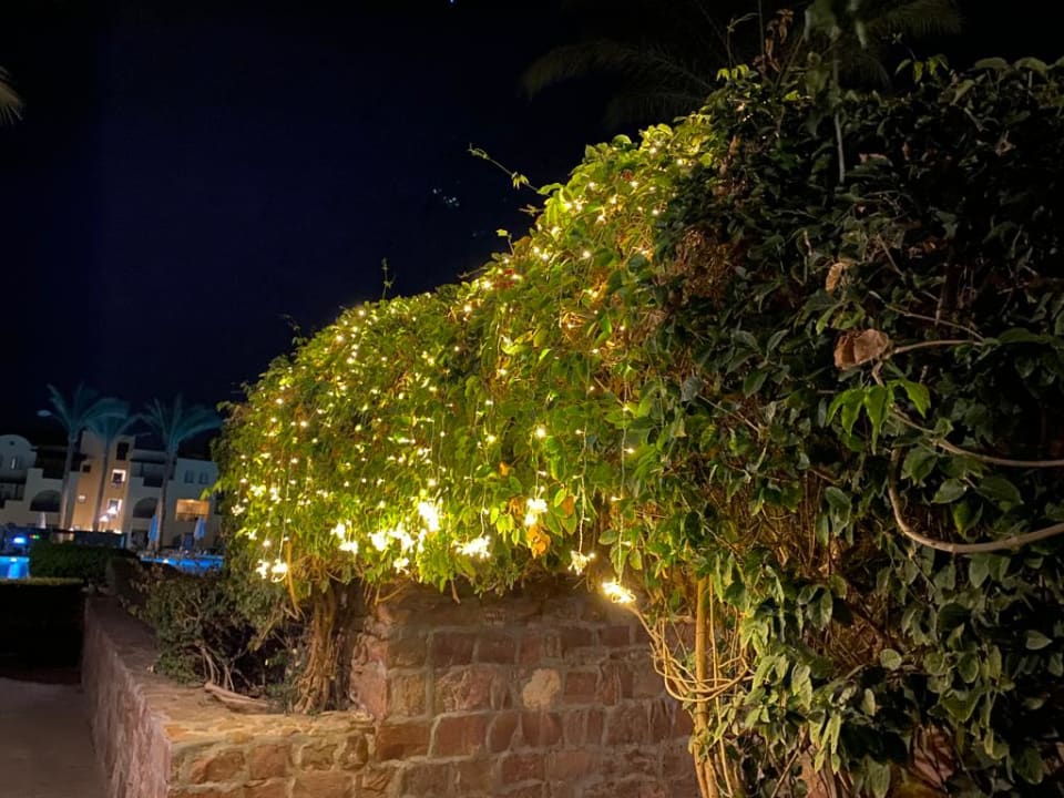 Außenansicht Stella Garden Resort & Spa, Makadi Bay