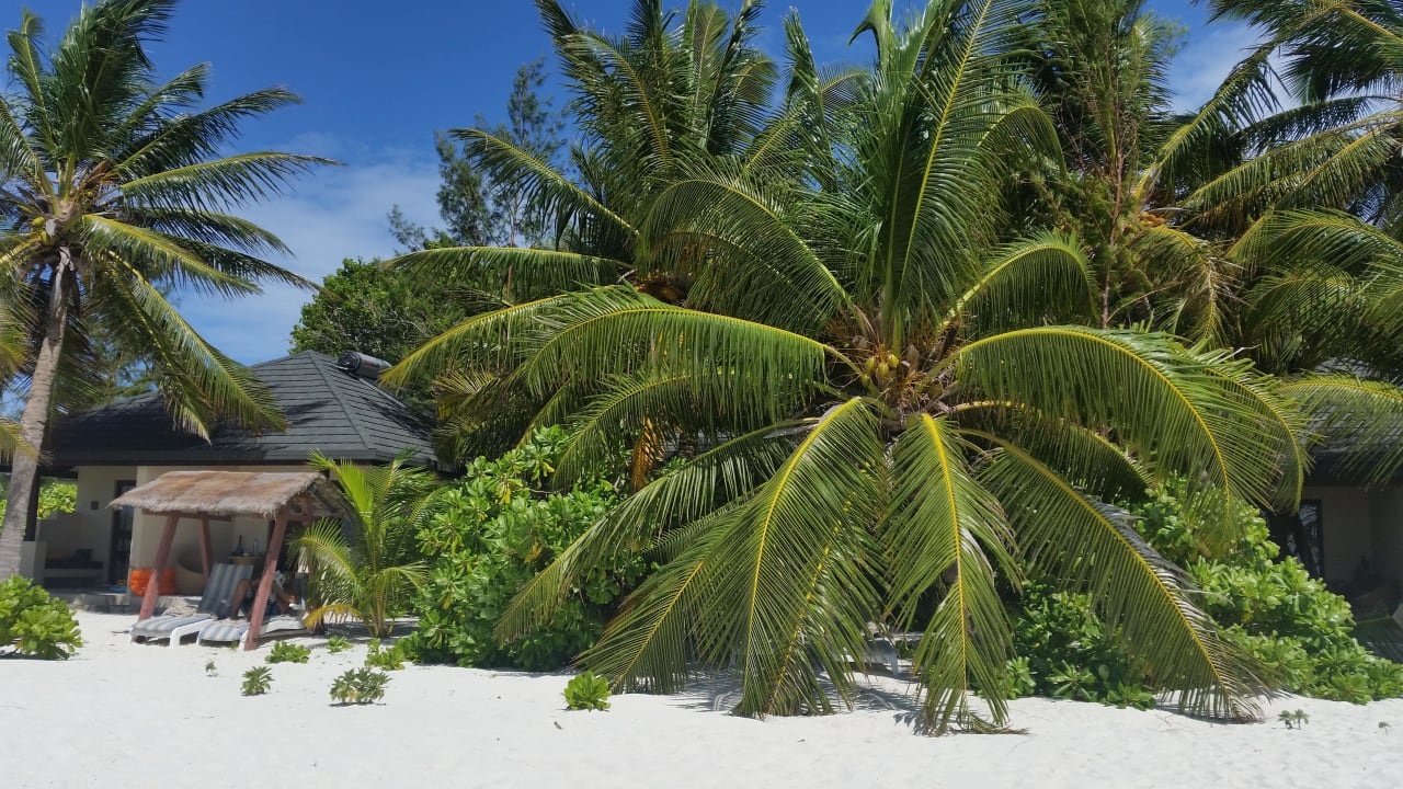 Strand  Summer Island Maldives