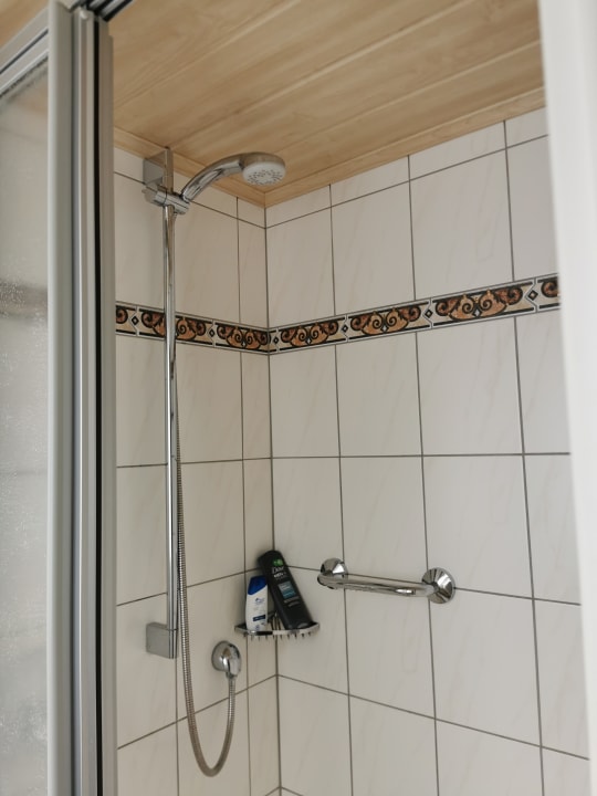 Zimmer Moselstern Hotel Brixiade & Triton