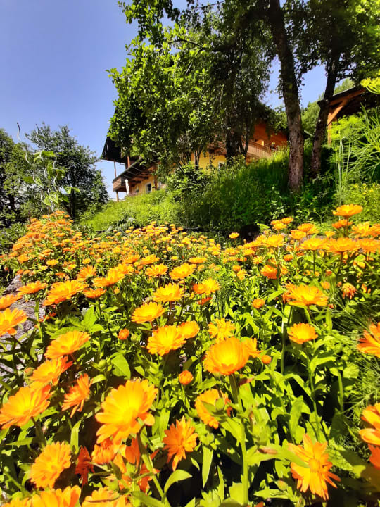 Außenansicht Landhof Kreuzsalgut