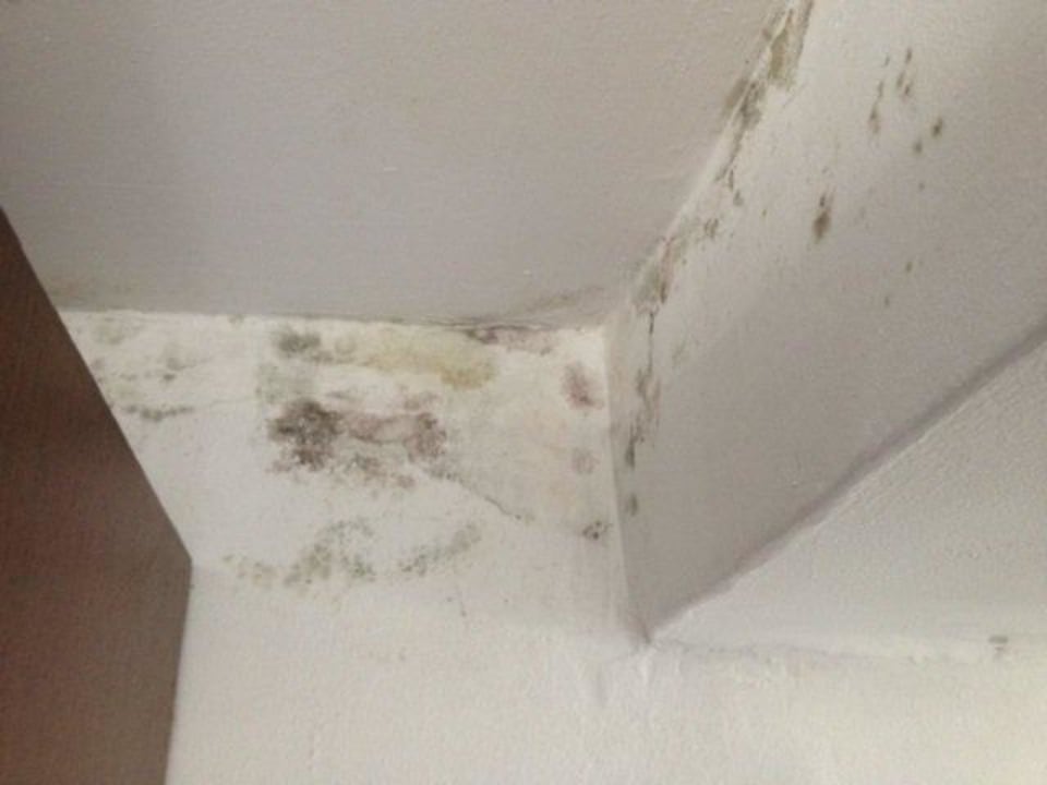 Willkommen im Urlaub Monarque Club Rivage