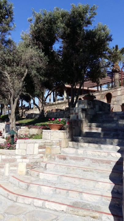 Arum Barut Collection  Arum Barut Collection