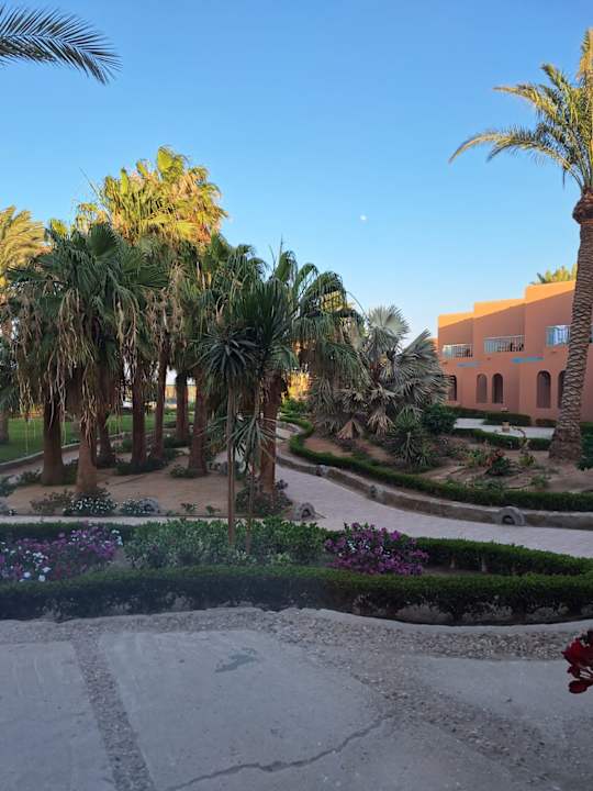 Gartenanlage Club Paradisio El Gouna, Red Sea